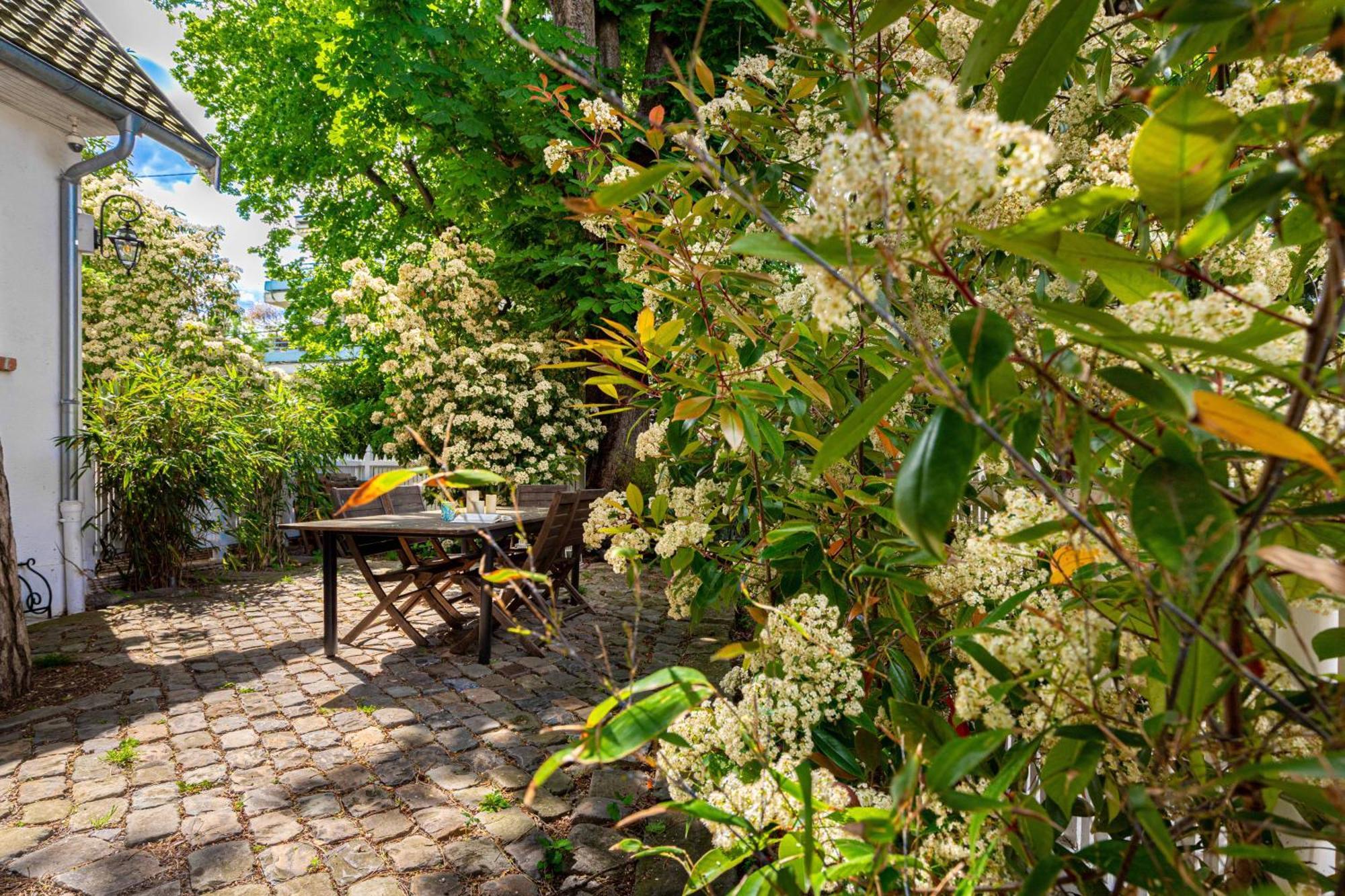 Grand & Classy Apartment With Private Garden, Villa Des Ammonites Мьодон Екстериор снимка